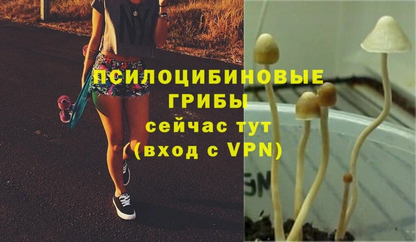 гидропоника Алексеевка